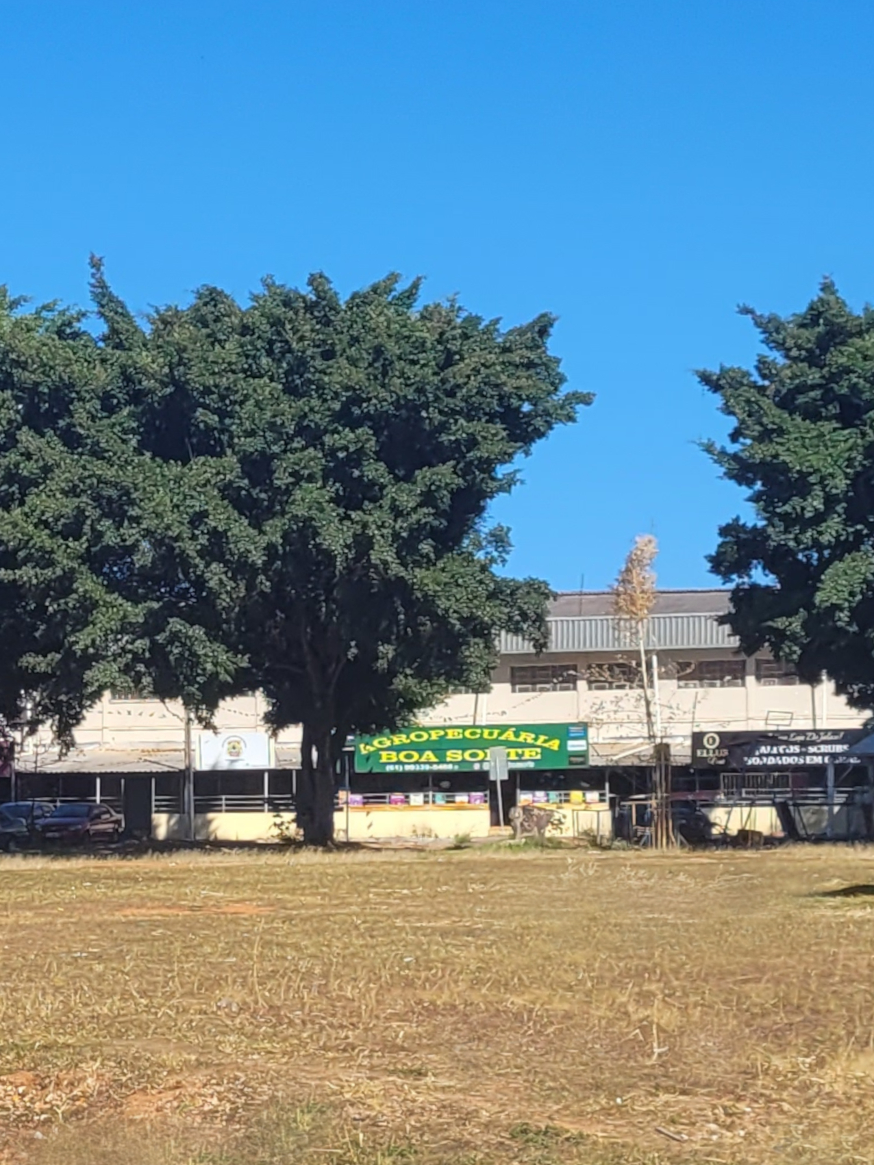 Agropecuária Boa Sorte | Ração, Pet Shop e Jardinagem em Valparaíso